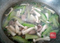 斗鸡菇丝瓜肉片汤的做法