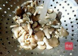 小蘑菇炒肉片 无盐无味精版 的做法